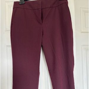 Pants Maroon